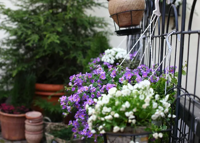 Szálloda The Three Sisters Tallinn